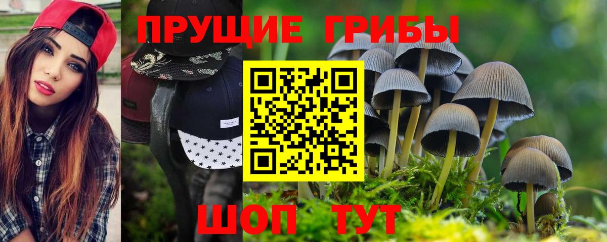 Псилоцибиновые грибы прущие грибы Озёры